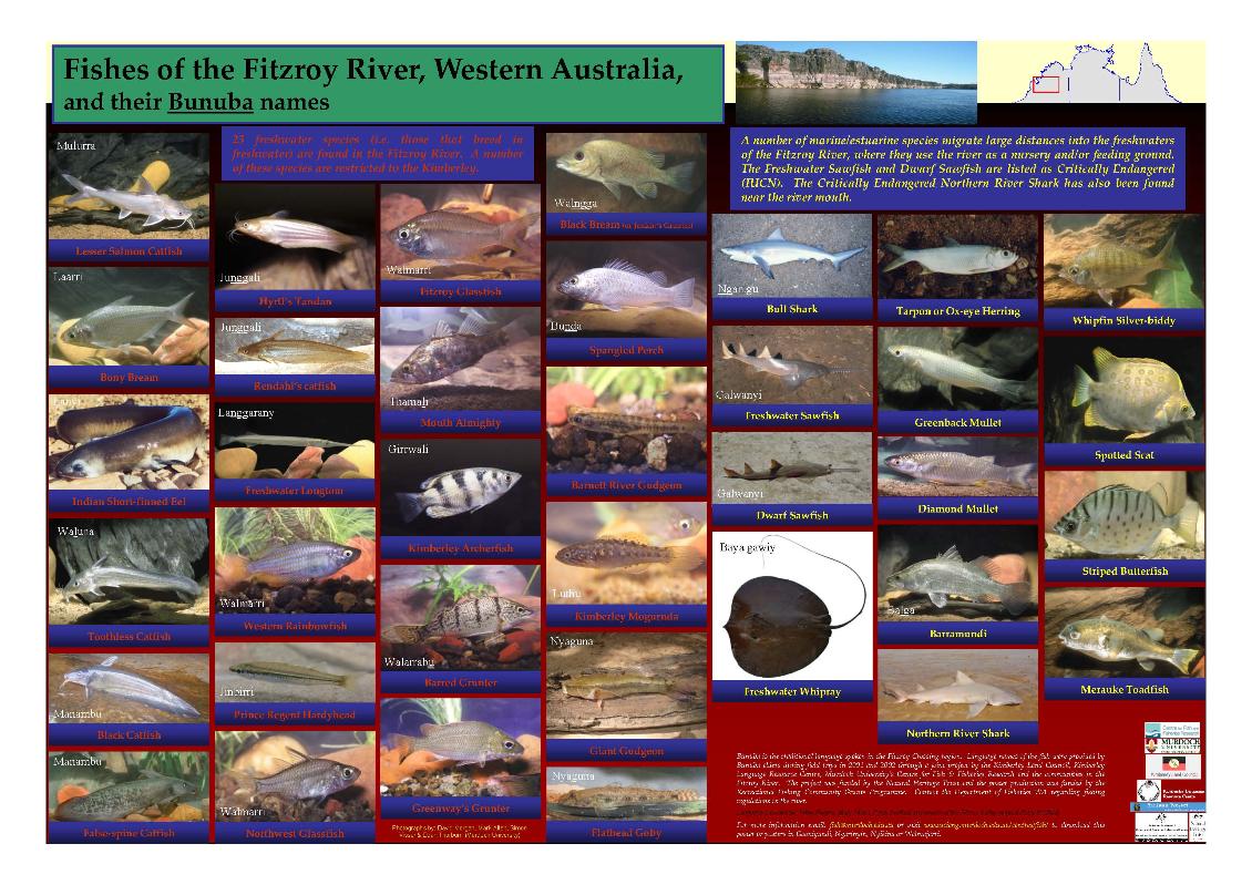 Centre For Sustainable Aquatic Ecosystems
